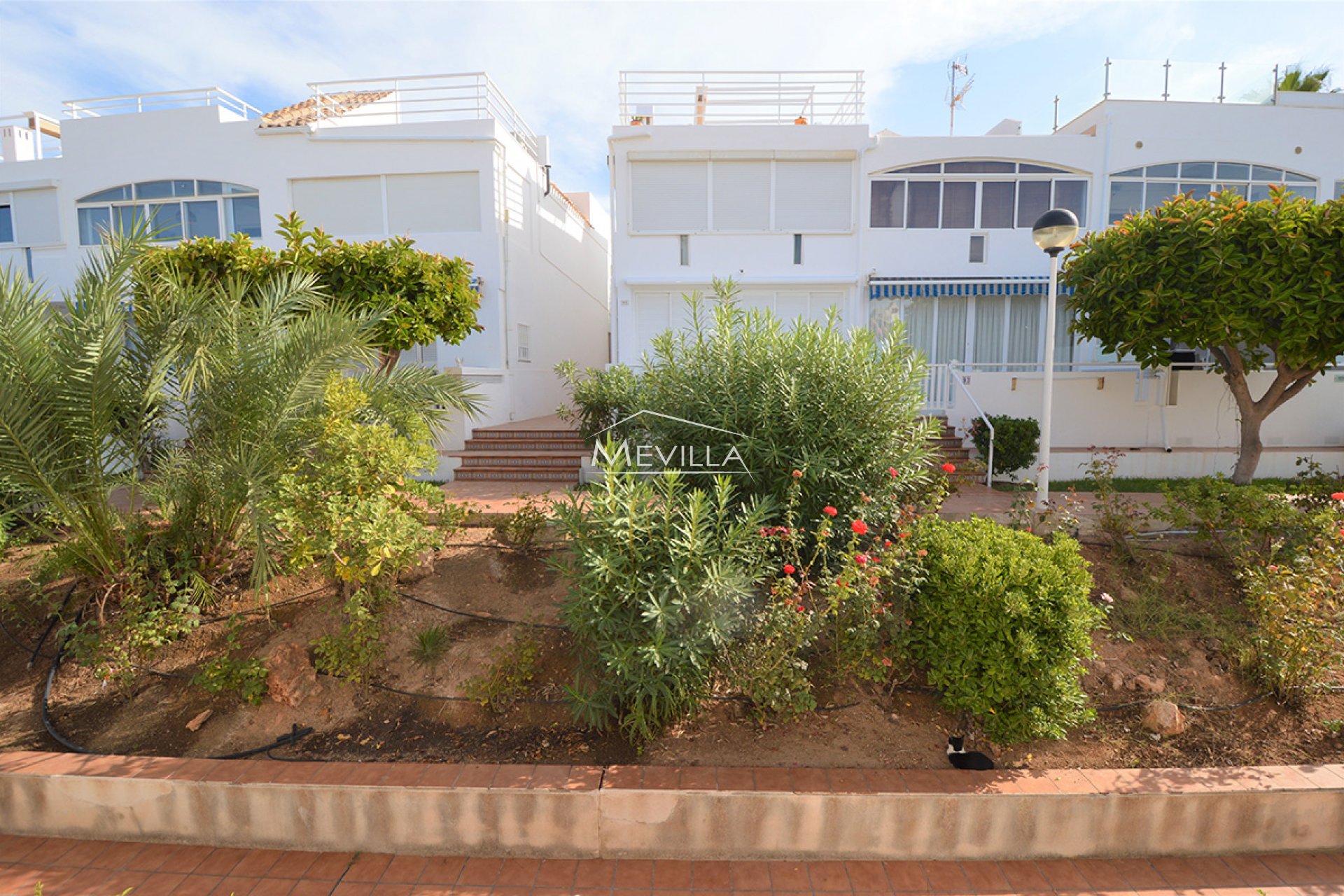 Verkäufe - Wohnungen / Wohnanlage  - Orihuela Costa - Cabo Roig